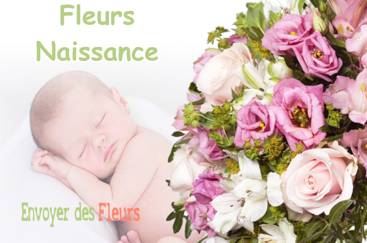 lIVRAISON FLEURS NAISSANCE à DAUX